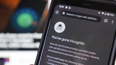 Les meilleures façons de voir l'historique d'incognito sur Android